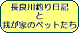 ǐނLƉ䂪Ƃ̃ybgւ̃N