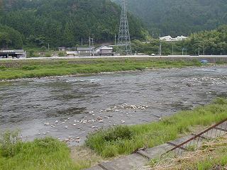 622㗬