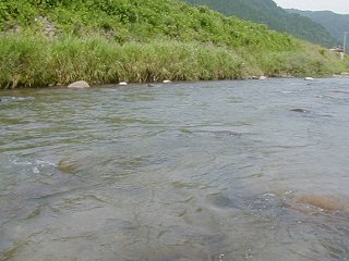 ǂ|P(9)