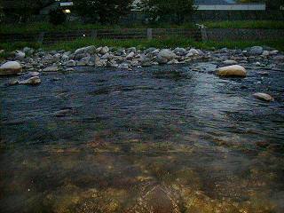 N񐶂̕Ӓn