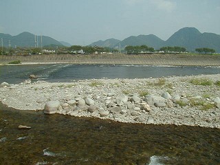n牺