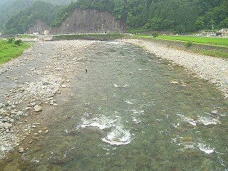 z勴ォ牺