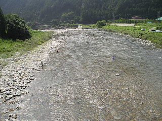 n勴艺