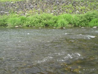 1Cڂ|Ӓn