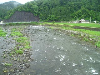 z勴牺