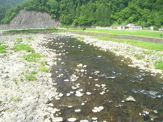 z勴ォ牺