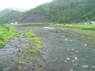 z勴牺