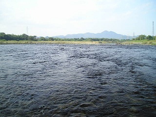 D勴(앪)