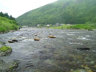 z_vO㗬