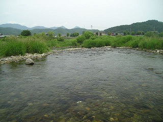 쉁牺Eݑ̗
