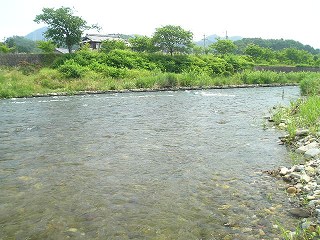 拫