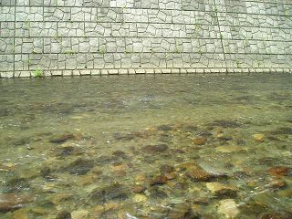 ݍۂ̃|Cg