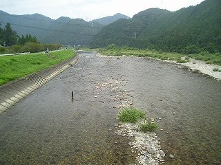 a̗勴牺