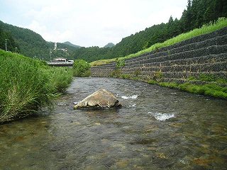 {㗬