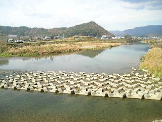 앐|㗬
