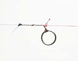 ߂