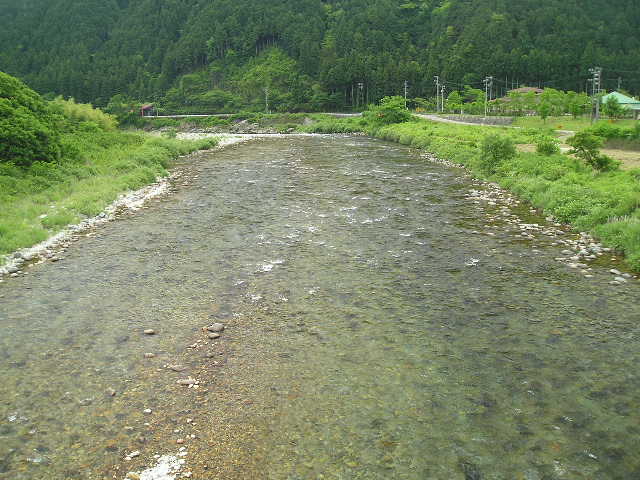 n勴牺
